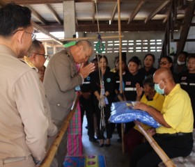พระบาทสมเด็จพระเจ้าอยู่หัว ... พารามิเตอร์รูปภาพ 5