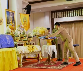 พระบาทสมเด็จพระเจ้าอยู่หัว ... พารามิเตอร์รูปภาพ 6