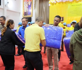 พระบาทสมเด็จพระเจ้าอยู่หัว ... พารามิเตอร์รูปภาพ 4