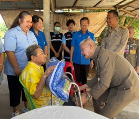 พระบาทสมเด็จพระเจ้าอยู่หัว ... พารามิเตอร์รูปภาพ 10