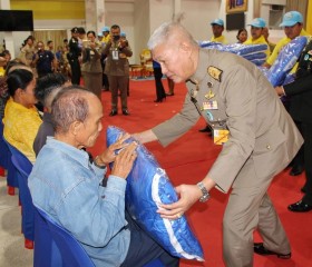 พระบาทสมเด็จพระเจ้าอยู่หัว ... พารามิเตอร์รูปภาพ 12