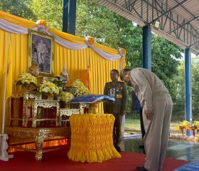 พระบาทสมเด็จพระเจ้าอยู่หัว ... พารามิเตอร์รูปภาพ 11