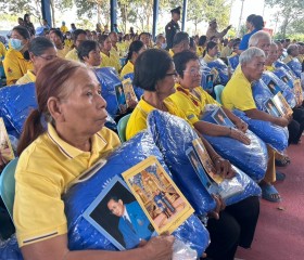 พระบาทสมเด็จพระเจ้าอยู่หัว ... พารามิเตอร์รูปภาพ 14