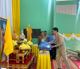พระบาทสมเด็จพระเจ้าอยู่หัว ... พารามิเตอร์รูปภาพ 8