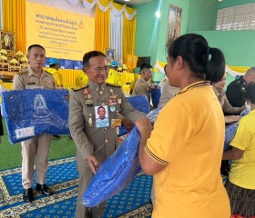 พระบาทสมเด็จพระเจ้าอยู่หัว ... พารามิเตอร์รูปภาพ 11