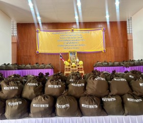 พระบาทสมเด็จพระเจ้าอยู่หัว ... พารามิเตอร์รูปภาพ 10