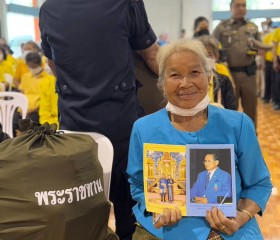 พระบาทสมเด็จพระเจ้าอยู่หัว ... พารามิเตอร์รูปภาพ 11