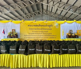 พระบาทสมเด็จพระเจ้าอยู่หัว ... พารามิเตอร์รูปภาพ 2