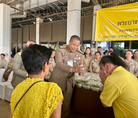 พระบาทสมเด็จพระเจ้าอยู่หัว ... พารามิเตอร์รูปภาพ 13