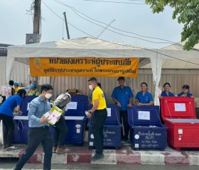 มูลนิธิราชประชานุเคราะห์ ในพระบรมราชูปถัมภ์ ... พารามิเตอร์รูปภาพ 2