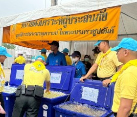 มูลนิธิราชประชานุเคราะห์ ในพระบรมราชูปถัมภ์ ... พารามิเตอร์รูปภาพ 1