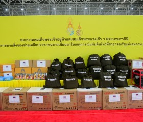 พระบาทสมเด็จพระเจ้าอยู่หัว และสมเด็จพระนางเจ้า ฯ ... พารามิเตอร์รูปภาพ 11