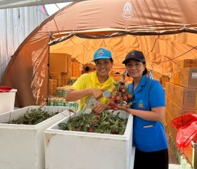 ภารกิจวันที่ ๒๒ มูลนิธิราชประชานุเคราะห์ ในพระบรมราชูปถัมภ์ ... พารามิเตอร์รูปภาพ 12