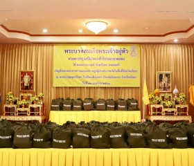 พระบาทสมเด็จพระเจ้าอยู่หัว ... พารามิเตอร์รูปภาพ 1