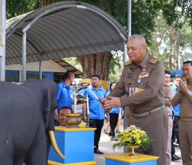 พลเรือเอก พงษ์เทพ หนูเทพ องคมนตรี ... พารามิเตอร์รูปภาพ 2