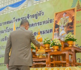 พระบาทสมเด็จพระเจ้าอยู่หัว ... พารามิเตอร์รูปภาพ 5