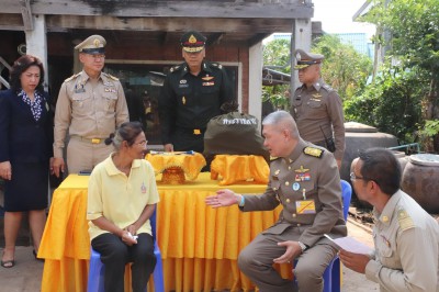 สมเด็จพระเจ้าอยู่หัว ... พารามิเตอร์รูปภาพ 1
