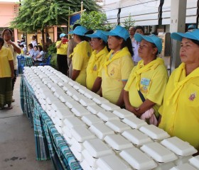 สมเด็จพระเจ้าอยู่หัว ... พารามิเตอร์รูปภาพ 8