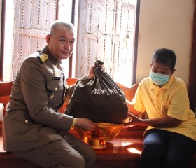 สมเด็จพระเจ้าอยู่หัว ... พารามิเตอร์รูปภาพ 10