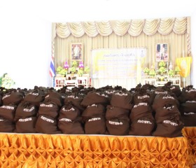สมเด็จพระเจ้าอยู่หัว ... พารามิเตอร์รูปภาพ 14