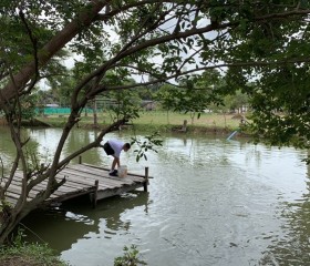 พลเรือเอก พงษ์เทพ หนูเทพ องคมนตรี ... Image 8