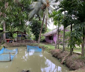 พลเรือเอก พงษ์เทพ หนูเทพ องคมนตรี ... Image 16