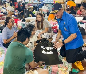 พระบาทสมเด็จพระเจ้าอยู่หัว ... พารามิเตอร์รูปภาพ 14