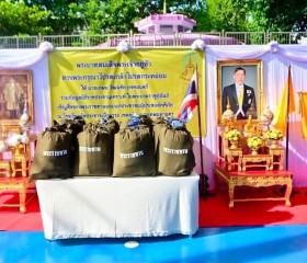 พระบาทสมเด็จพระเจ้าอยู่หัว ... พารามิเตอร์รูปภาพ 8