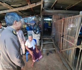 พระบาทสมเด็จพระเจ้าอยู่หัว ทรงพระกรุณาโปรดเกล้าโปรดกระหม่อม ... Image 8