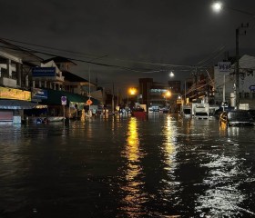 พระบาทสมเด็จพระเจ้าอยู่หัว และสมเด็จพระนางเจ้าฯ ... พารามิเตอร์รูปภาพ 14