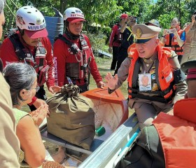 พระบาทสมเด็จพระเจ้าอยู่หัว ... พารามิเตอร์รูปภาพ 19