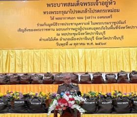 พระบาทสมเด็จพระเจ้าอยู่หัว ... พารามิเตอร์รูปภาพ 6