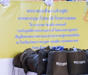 พระบาทสมเด็จพระเจ้าอยู่หัว ... พารามิเตอร์รูปภาพ 16