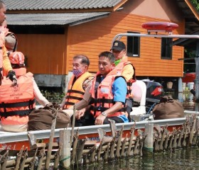 พระบาทสมเด็จพระเจ้าอยู่หัว ... Image 14