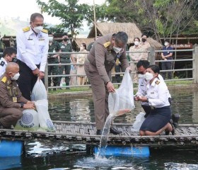 นายพลากร สุวรรณรัฐ องคมนตรี มอบถุงพระราชทานให้แก่ราษฎร ... Image 8