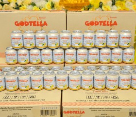 มูลนิธิราชประชานุเคราะห์ๆ รับมอบ GODTELLA ... Image 2