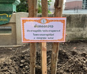 กิจกรรมปลูกต้นไม้เพิ่มพื้นที่สีเขียวให้กรุงเทพมหานคร พารามิเตอร์รูปภาพ 12