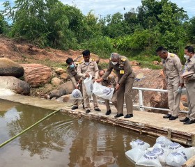 พลเรือเอก พงษ์เทพ หนูเทพ องคมนตรี ประธานกรรมการบริหาร ... Image 5